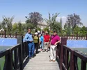 تور ازبکستان و تاجیکستان