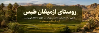روستای ازمیغان طبس؛ جایی که شالیزار و نخلستان در دل کویر به هم میرسند
