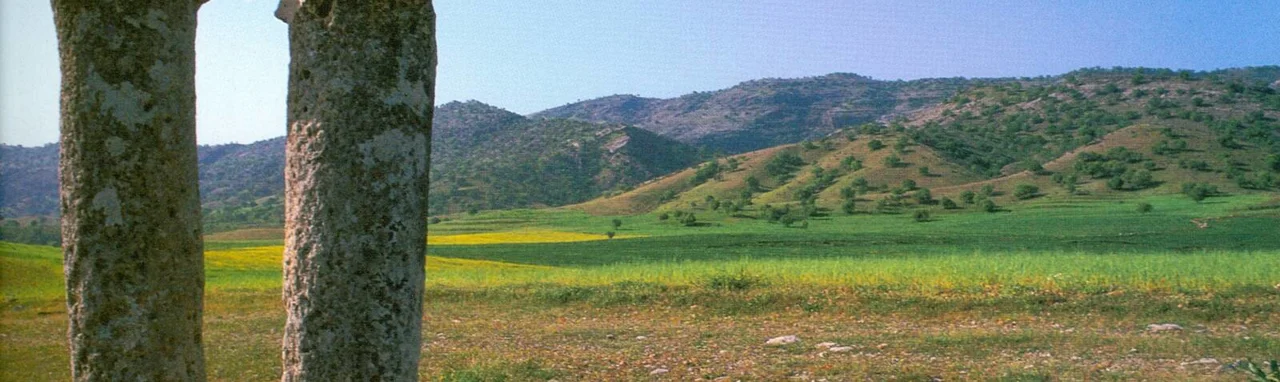 دوگور دوپا؛ راز دو ستون سنگی در کهگیلویه و بویراحمد