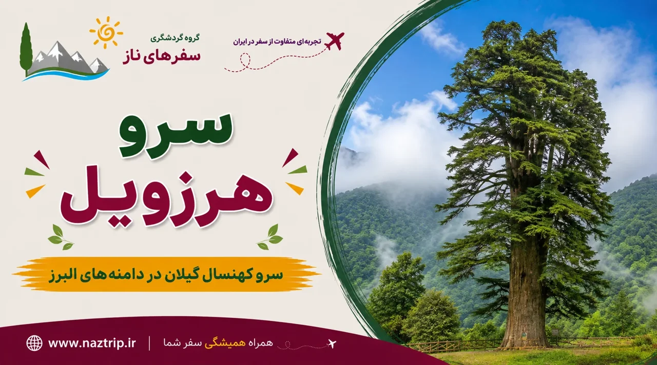 سرو هرزویل؛ سرو کهنسال گیلان در دامنههای البرز
