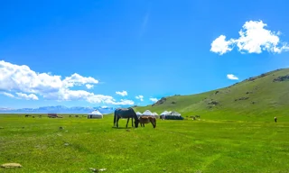 اسبسواری در قرقیزستان؛ راهنمای یورت، سونکول و فرهنگ عشایری