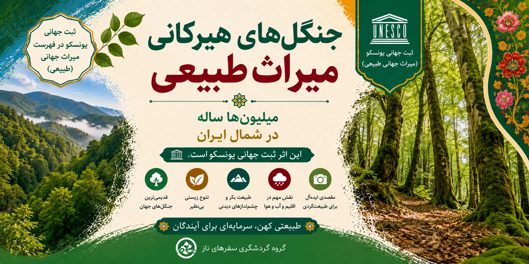 جنگل‌های هیرکانی؛ میراث طبیعی میلیون‌ها ساله در شمال ایران