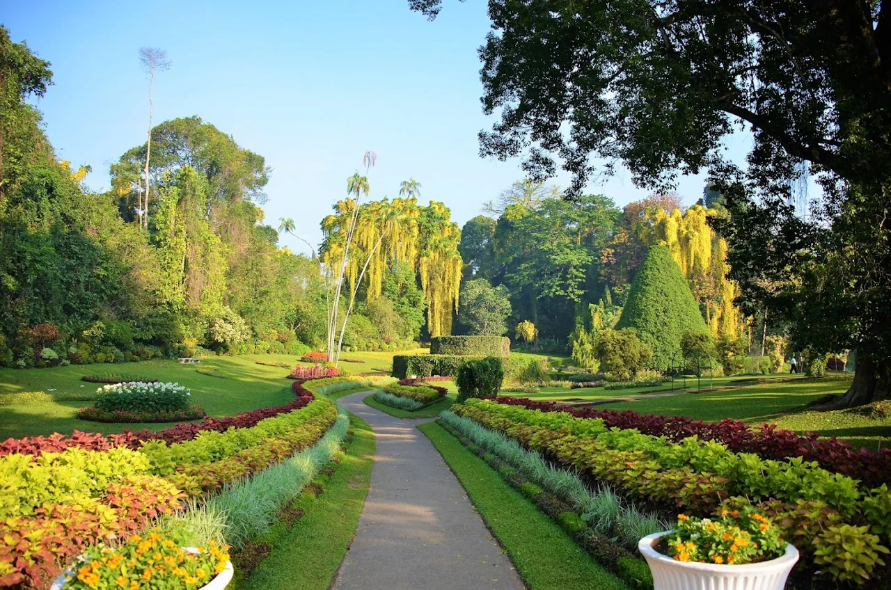باغ گیاهشناسی پرادنیا رویال کندی (Peradeniya Royal Garden Kandy)