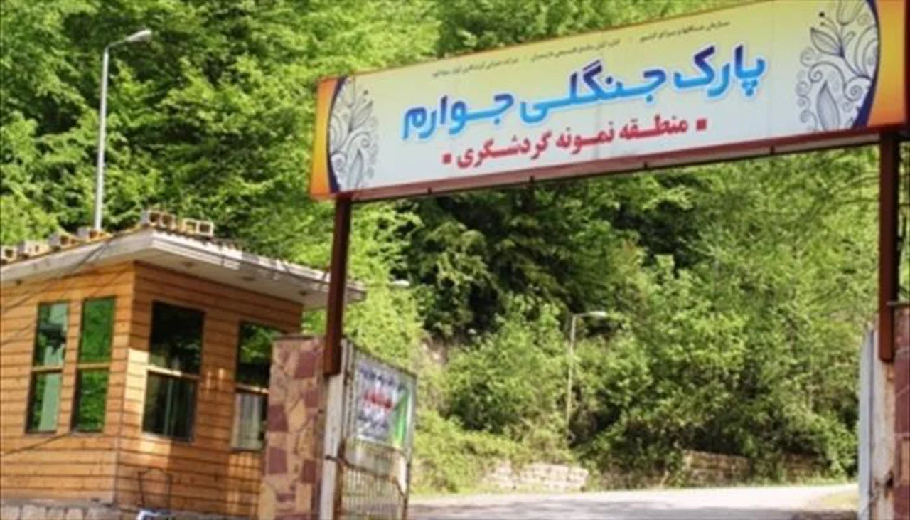 پارک جنگلی جوارم سوادکوه؛ سفر به قلب جنگلهای هیرکانی مازندران