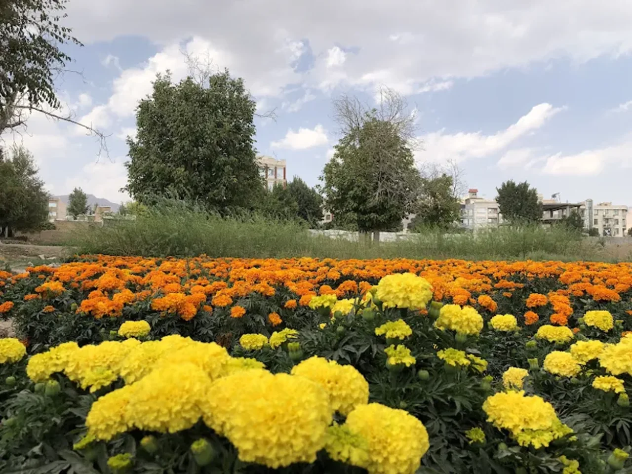 سفر یکروزه به محلات؛ راهنمای کامل دیدنیها، مسیر و برنامه سفر