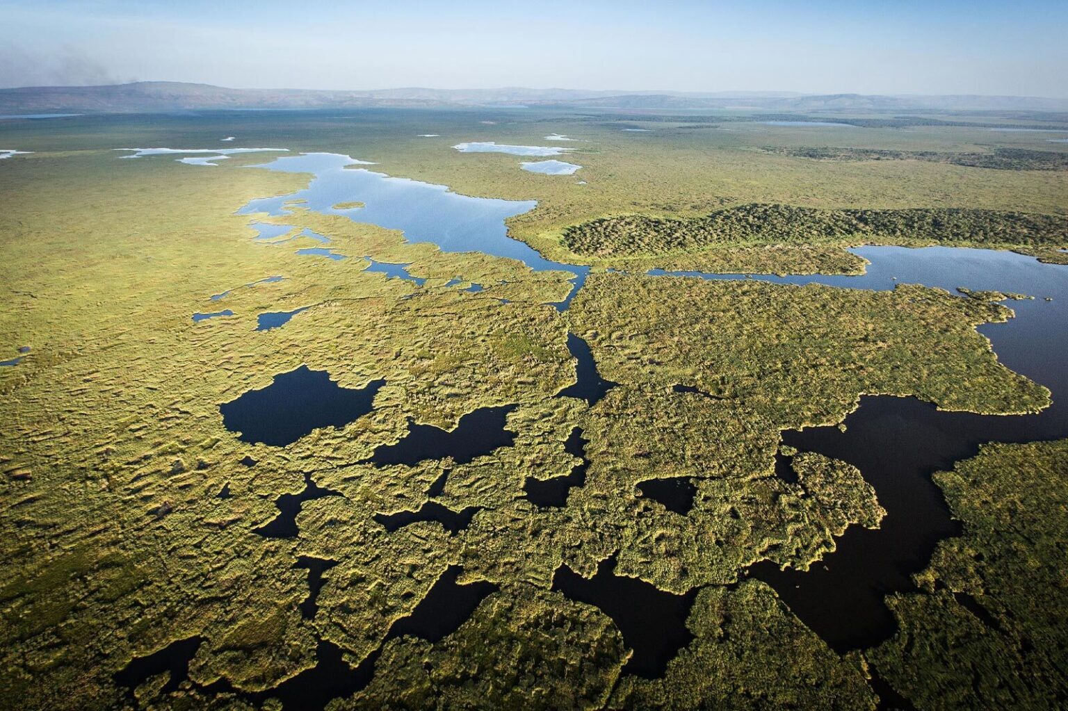 تجربه زیبایی در پارک ملی آکاگرا و حیات وحش