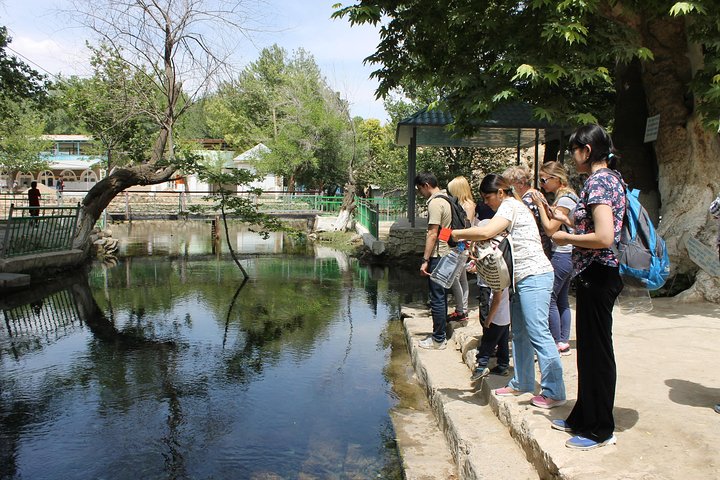 چهل‌ و‌ چهار چشمه تاجیکستان